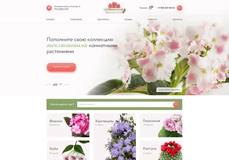 Коллекционные растения Марины Соколовой