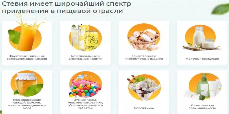 Посадочная страница: виды, критерии эффективности, примеры