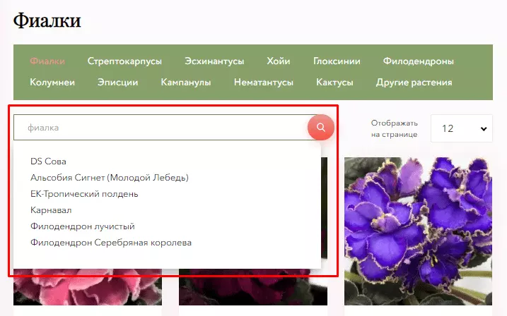 Как открыть интернет-магазин? + 19 преимуществ продавать онлайн