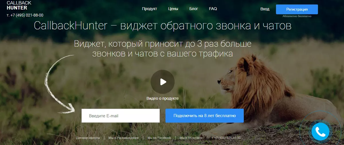 Посадочная страница: виды, критерии эффективности, примеры